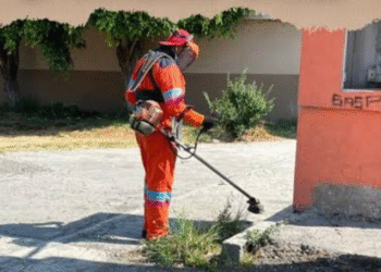 Bajo la lupa; OOSL combate «montoneras» de basura en tres puntos críticos de Puebla capital