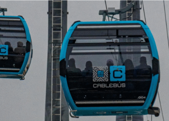 Trasplantarán más de 200 árboles por obras del Cablebús; impacto será en 980