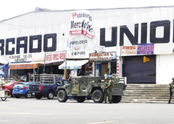 Blindarán mercados y oficinas del Ayuntamiento contra plagas; lanzan plan integral de fumigación 2026