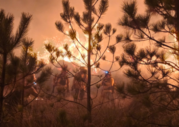 Incendios forestales afectan más de mil hectáreas en Puebla: no hay denuncias