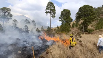 Suma Puebla 41 incendios forestales en 2026