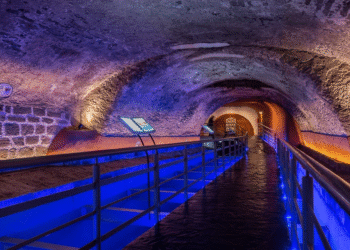 Reabren el Puente de Bubas y Pasaje 5 de mayo; entrada alcanza los 35 pesos