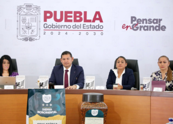 Opositores al Cablebús desconocen beneficios o tienen intereses: revira Armenta ante marchas