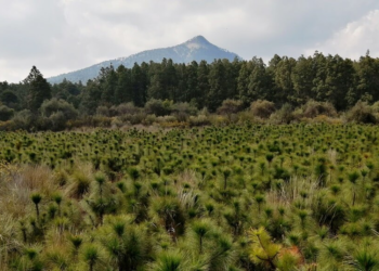 Armenta descarta desarrollos inmobiliarios en reservas ecológicas como el Ecoparque Tlalli-Malinche
