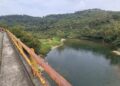 Semarnat autoriza impacto ambiental de puente entre Puebla y Veracruz
