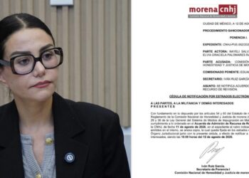 Nayeli Salvatori afirma ser diputada independiente, aunque no ha sido expulsada de Morena