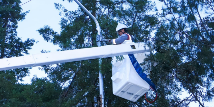 Entrega Gobierno de Pepe Chedraui modernización de 143 luminarias en la México 83
