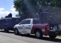 Catean inmueble con 60 plantas de presunta marihuana en Puebla 