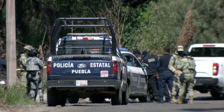 Hallan a hombre atado y con un disparo en la cabeza en Chiautla de Tapia 