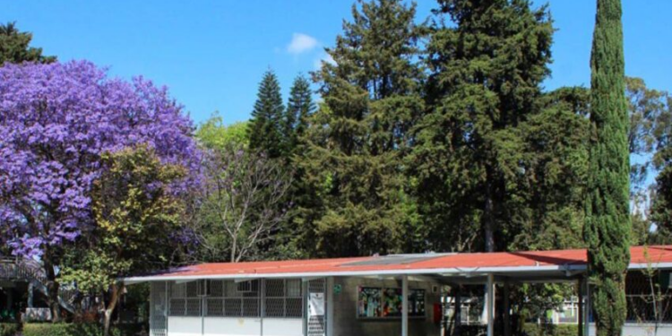Intervendrán siete inmuebles de la SEP: alista rehabilitación del BINE
