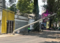 Derribo de árboles y caída de postes, las omisiones que dejó pasar el PAN: Servicios Públicos