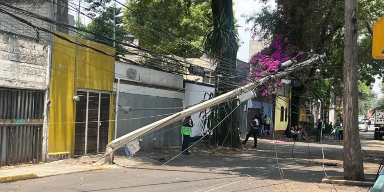Derribo de árboles y caída de postes, las omisiones que dejó pasar el PAN: Servicios Públicos