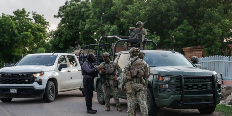 Matan a dos agentes federales durante operativo en Veracruz 