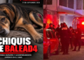 Disparan contra Chikis, perrita que estaba dentro de su casa en Tehuacán