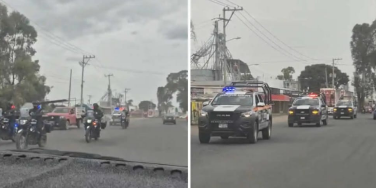 Operativo de Marina deja varios detenidos en San Martín Texmelucan