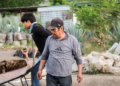 Sequía frena reforestación de agave para producir mezcal en Caltepec