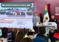 Detecta SSP a funcionarios coludidos con bandas en Mercado Morelos
