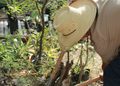 BUAP lleva a siete estudiantes a Japón para capacitarse en agricultura