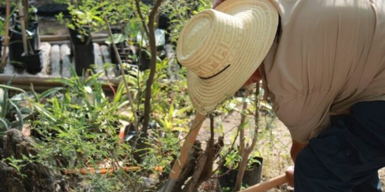 BUAP lleva a siete estudiantes a Japón para capacitarse en agricultura