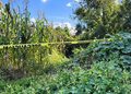 Hallan muerto a hombre en Chiautzingo horas antes del informe municipal