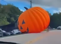 Calabaza gigante queda fuera de control por fuertes vientos en EEUU
