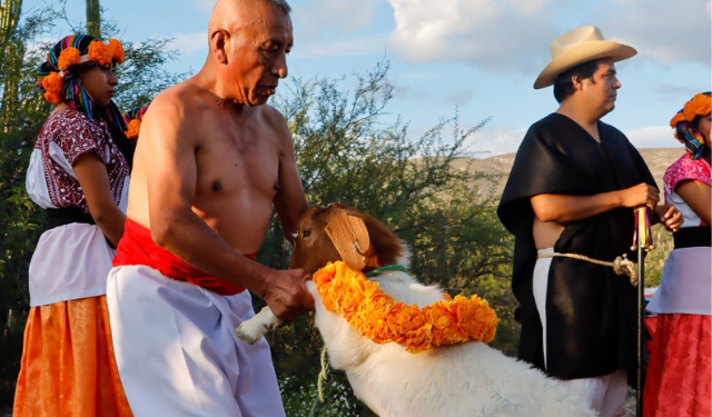 Tehuacán alista Festival del Mole de Caderas 2026 con música y gastronomía