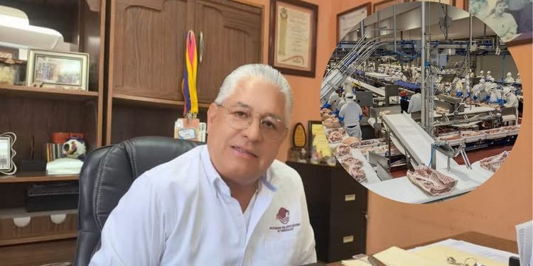 Importaciones de cerdo frenan crecimiento de productores en Tehuacán