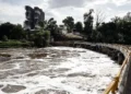 Río Atoyac contará con cuatro Centros de Vigilancia para detectar descargas